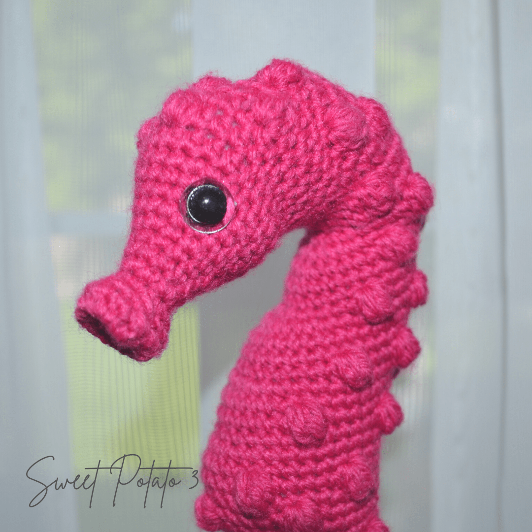 pygmy seahorse face