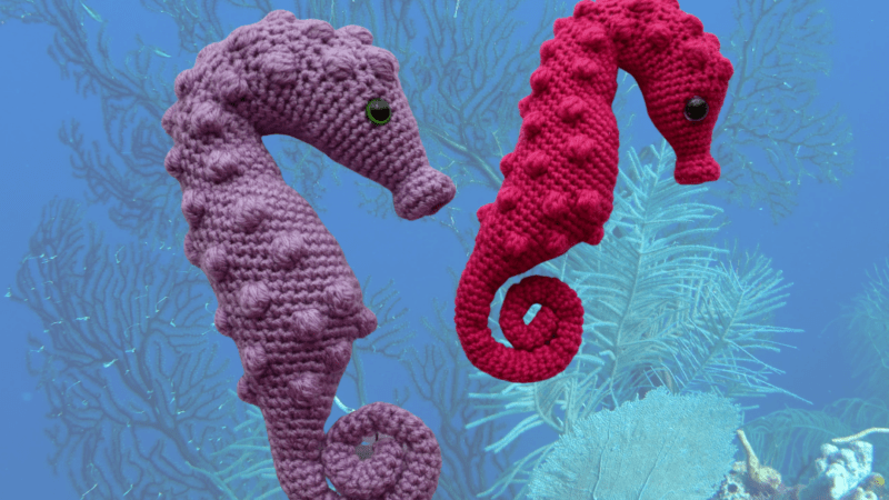 pygmy seashorse crochet pattern