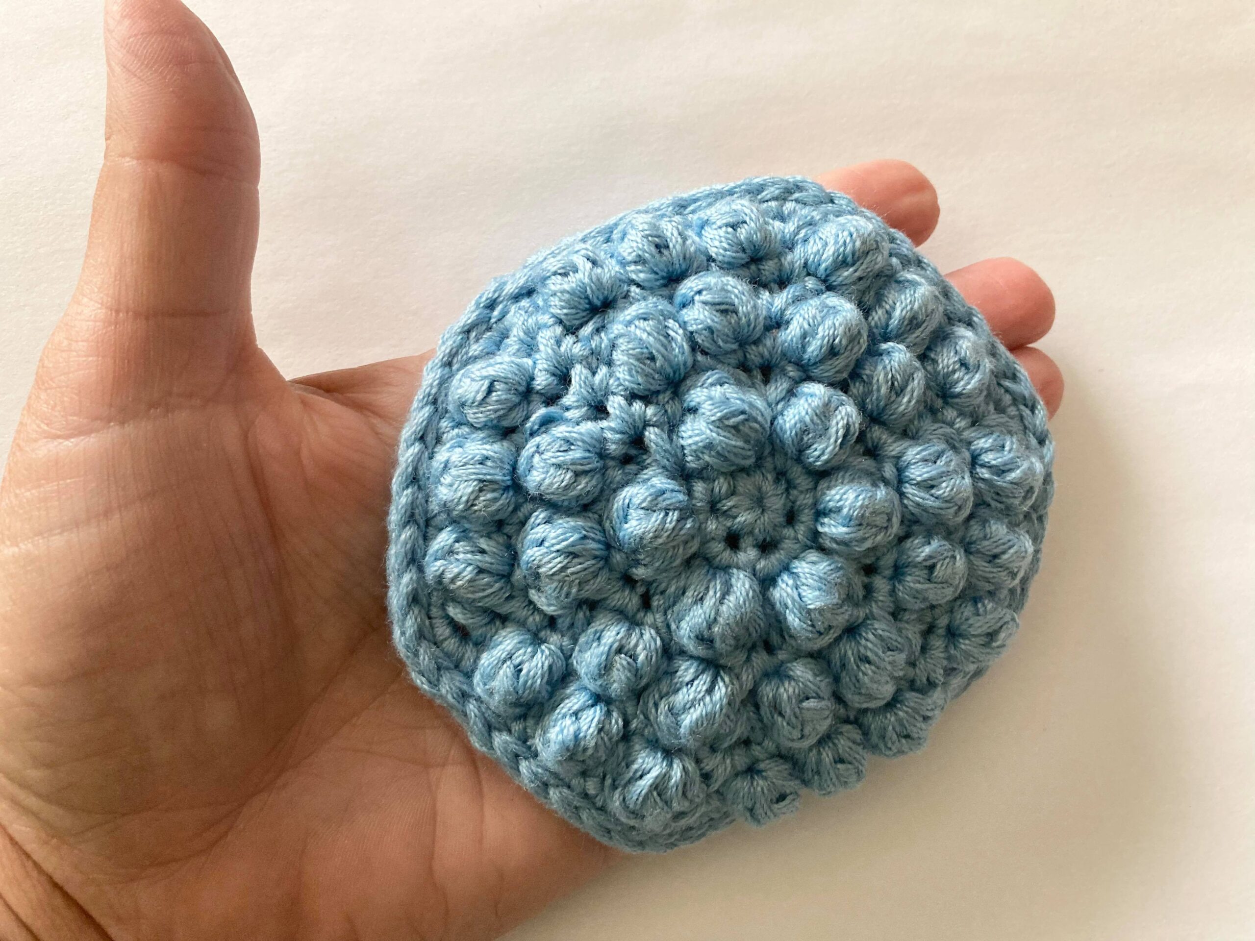 Bobble Dish Scrubby