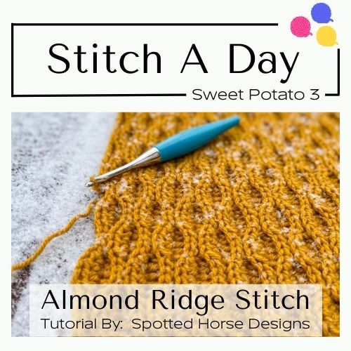 Stitch A Day