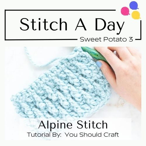 5 EASY CROCHET STITCHES THAT ANY BEGINNER CAN DO! [Linen, Alpine