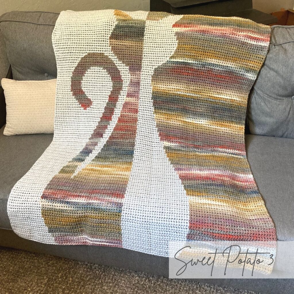 Reversible crochet discount blanket pattern free