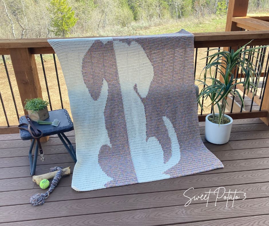 You are currently viewing Dog Days Crochet Blanket Pattern