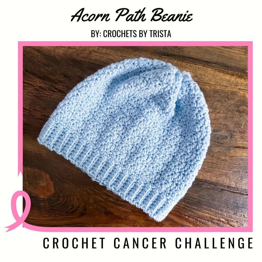 Acorn Path Beanie