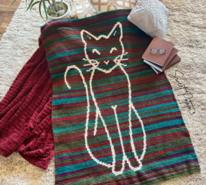 Read more about the article Color Changing Magic: The Purrfect Cattitude Blanket