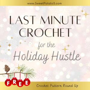 Read more about the article Last-Minute Crochet for the Holiday Hustle