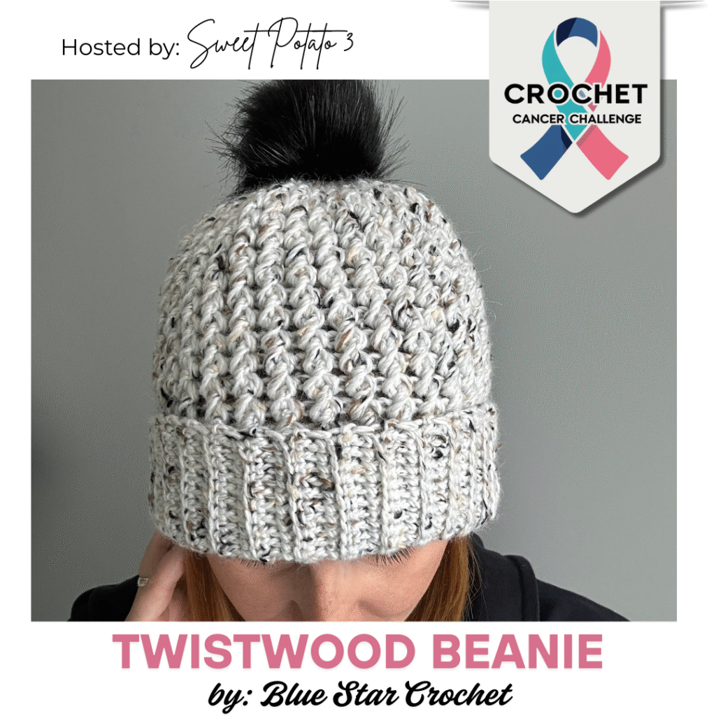 Oct6FB-1024x1024 Crochet Cancer Challenge 2025: Free Hat Patterns to Support Cancer Patients