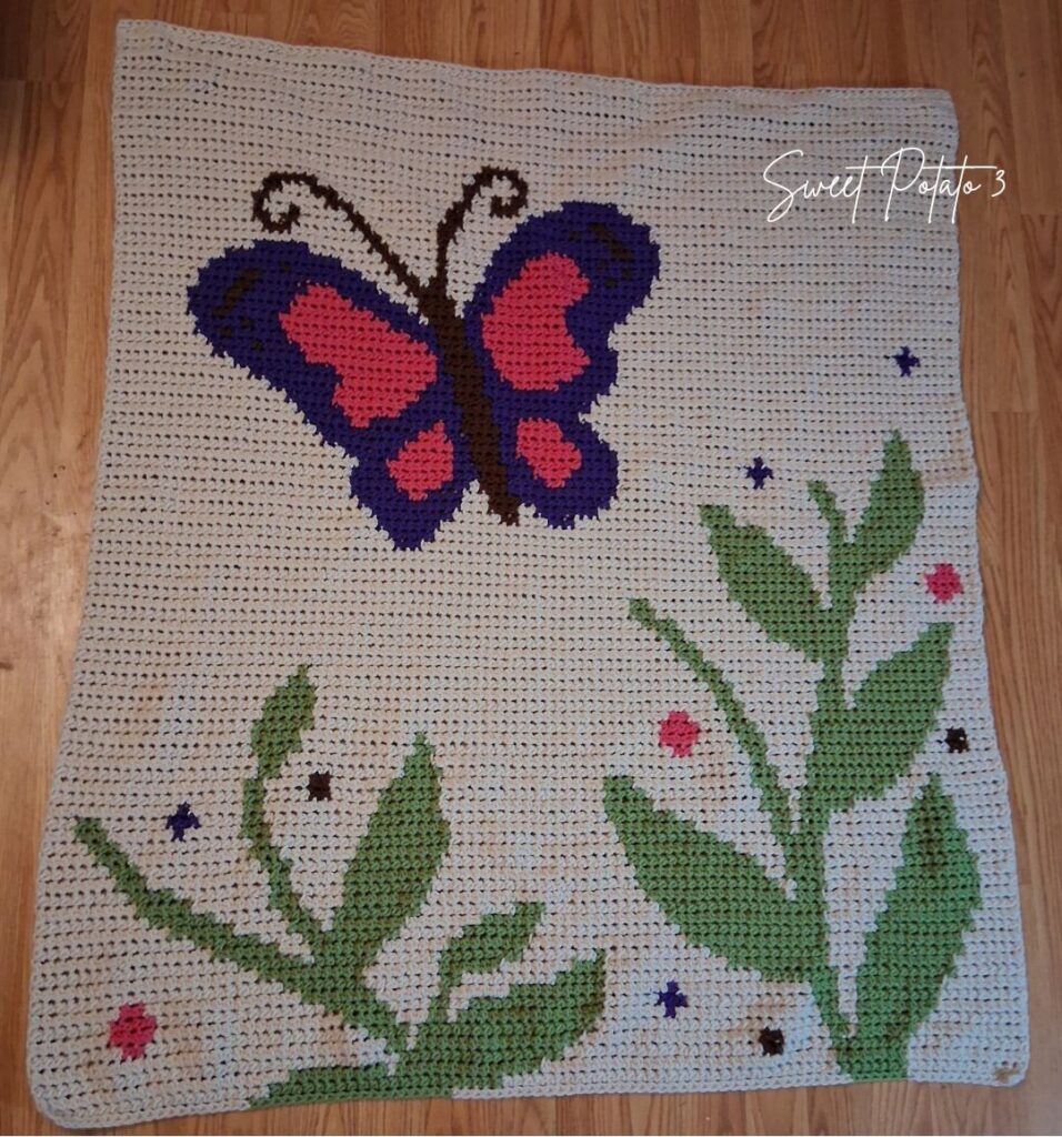 Butterfly-Charm-7-956x1024 Butterfly Charm Crochet Baby Blanket