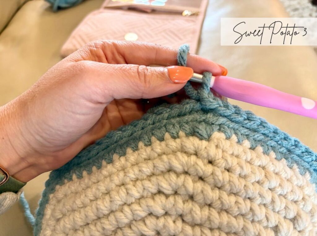 Flower-Pillow-13-1024x764 Round Flower Crochet Pillow Pattern (Free & Easy Floral Cushion)