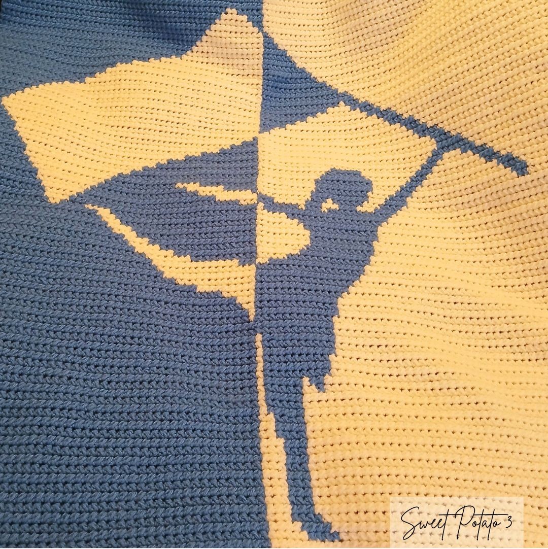 Color Guard