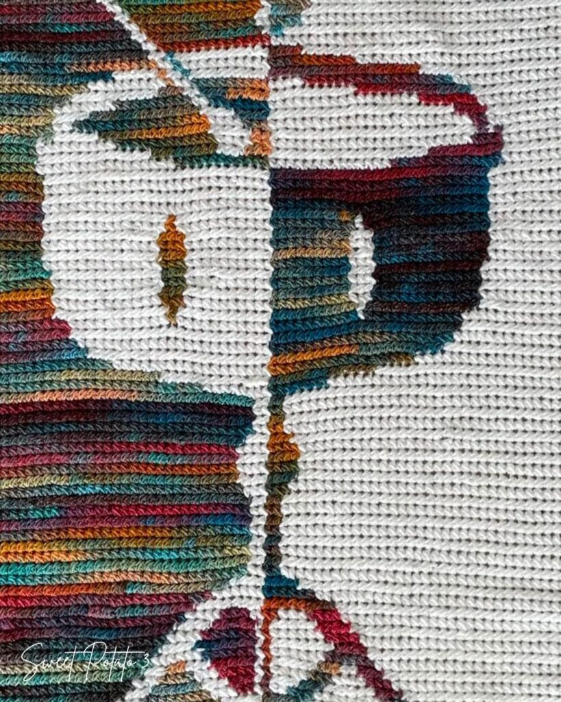  Snare Drum Crochet Blanket Pattern