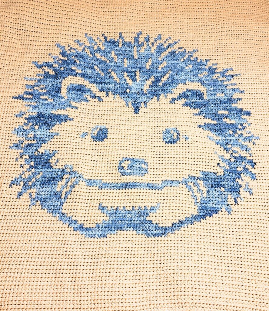Hedgehog-4-888x1024 Hedgehog Crochet Throw Blanket Pattern