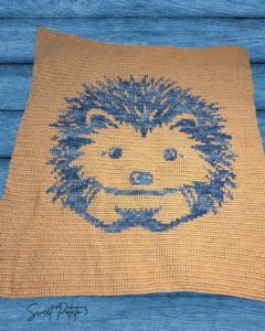 Hedgehog Blanket